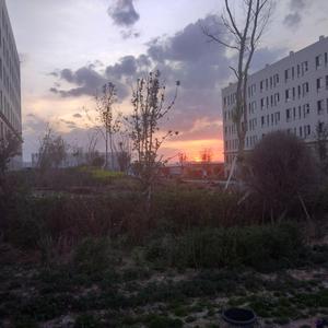 人与动物ⅩⅩXX
