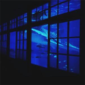 人与动物ⅩⅩXX
